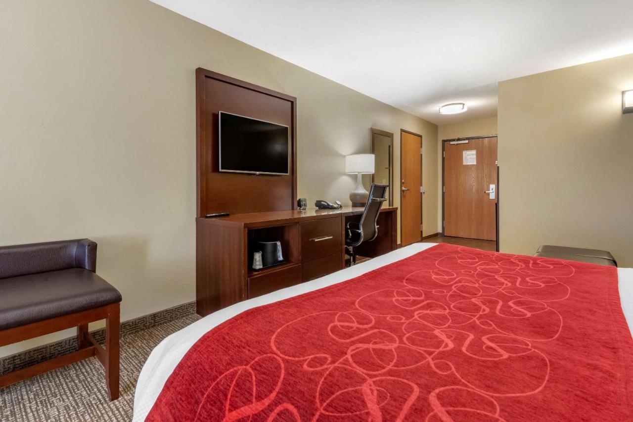 Comfort Suites Bridgeport - Clarksburg Room photo
